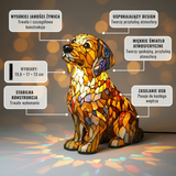 Retriever dorado